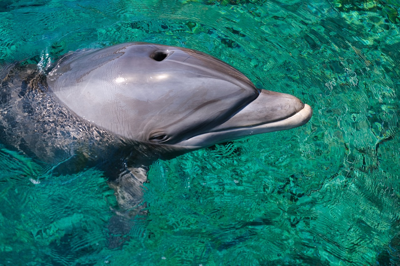 How to Reduce Your Impact in Australia’s Ningaloo Reef